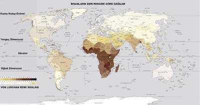 Deri-rengi-Deri-rengine-gre-insanln-dnyada-dalm.jpg