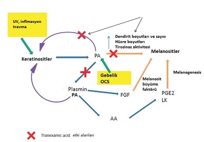 Melazma-tranexamic-asit-tedavisi.jpg