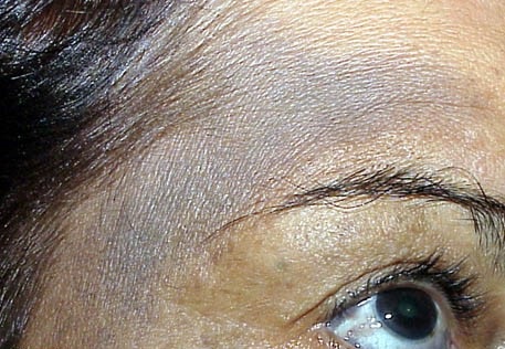 Ota-Nevs1.jpg