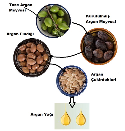 Cilt Bakım Ürünleri Argan Yağı 