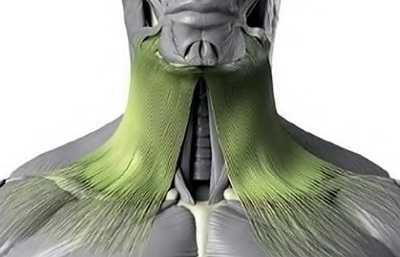 Boyun, Platisma,Platysma Kas, Botoks(Botulinum Toksin)Uygulaması