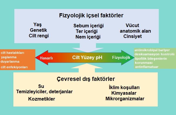 Cildin Fizyolojik pH, Cildin Asit Mantosu 
