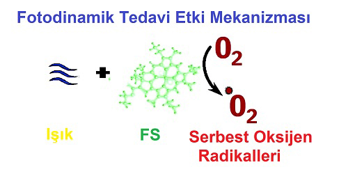 Cilt Hastalıklarında Fotodinamik Tedavi