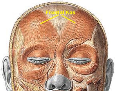 frontal-kas-ve-botox.jpg