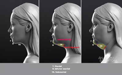 jawline-maskulen-alt-cene-hatti-hollywood-cenesi-yuz-yag-dokusu-2.jpg