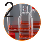 fibrocell 22
