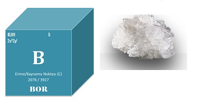 Boron, İnsan Sağlığı ve Deri