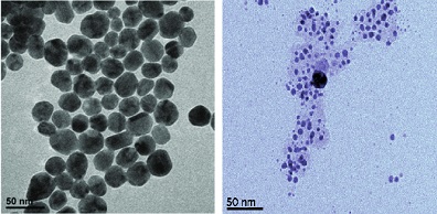 nanopartikul_gumus_3.jpg