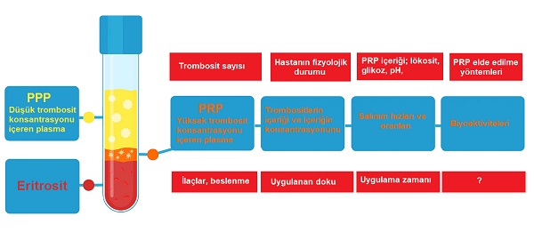 Maksimum PRP Etkinliği, PRP Klinik Etkinliğinde Önemli Değişkenler