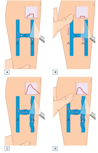ultrasound-03.jpg