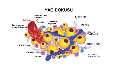 yag_dokusu.jpg