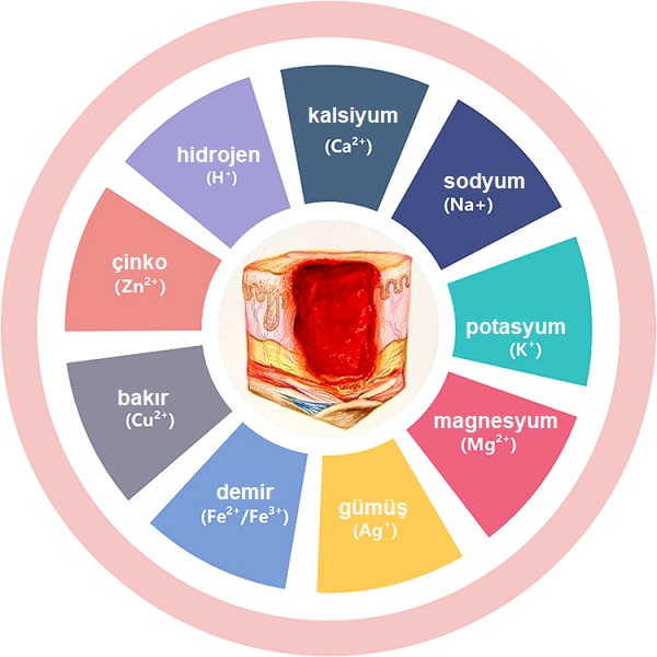 Cilt Yaralarının İyileşmesinde Cilt pH ve İyonlar Rolü 